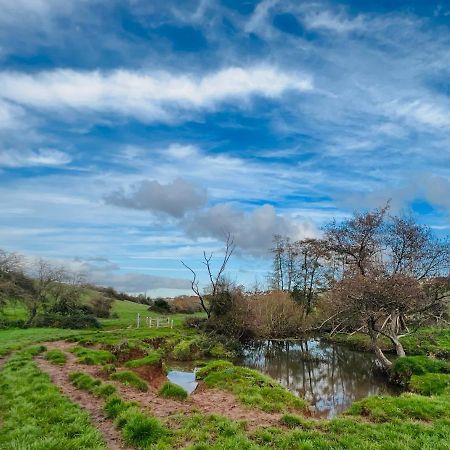 Dapps Hill Haven - Between Bristol And Bath, Both 9 Mins By Train! Keynsham Ngoại thất bức ảnh