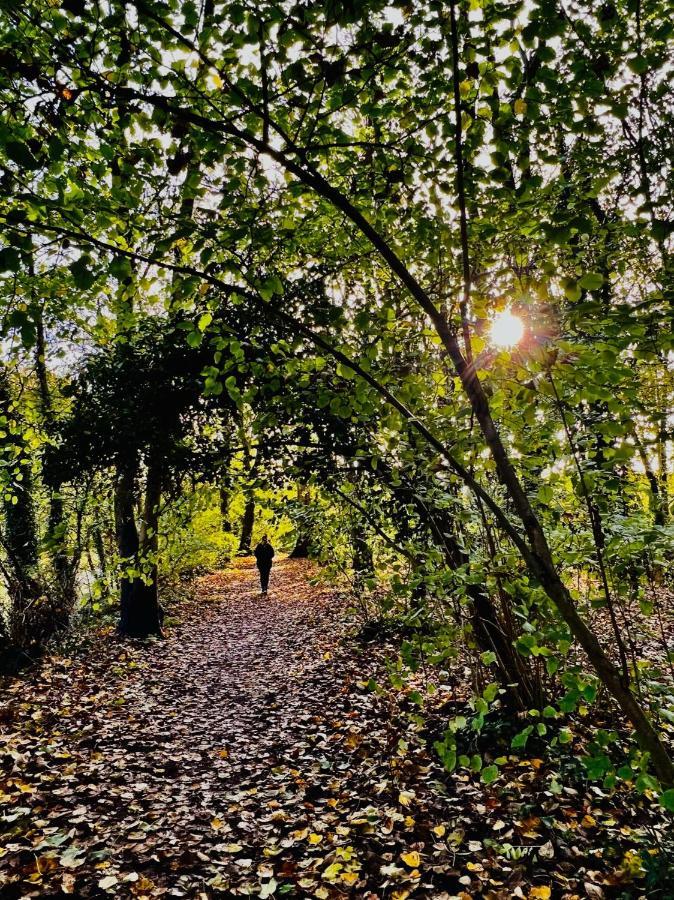 Dapps Hill Haven - Between Bristol And Bath, Both 9 Mins By Train! Keynsham Ngoại thất bức ảnh