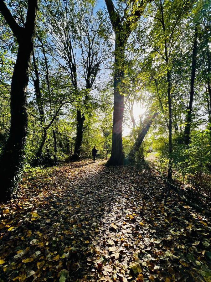 Dapps Hill Haven - Between Bristol And Bath, Both 9 Mins By Train! Keynsham Ngoại thất bức ảnh