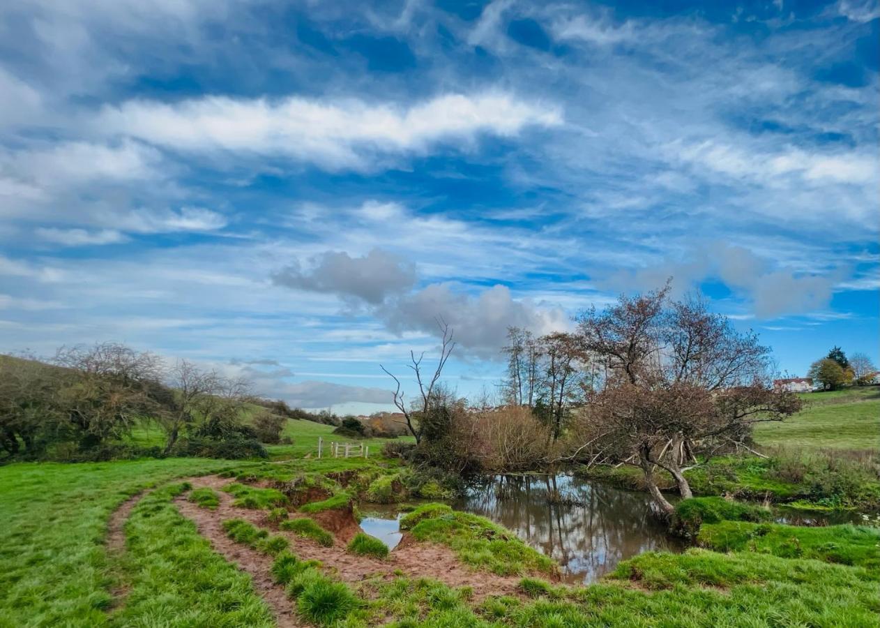 Dapps Hill Haven - Between Bristol And Bath, Both 9 Mins By Train! Keynsham Ngoại thất bức ảnh