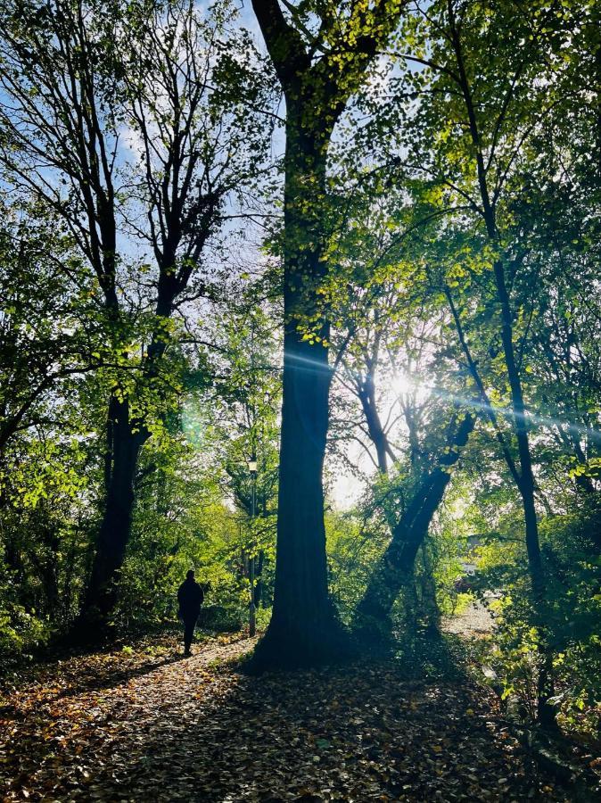 Dapps Hill Haven - Between Bristol And Bath, Both 9 Mins By Train! Keynsham Ngoại thất bức ảnh